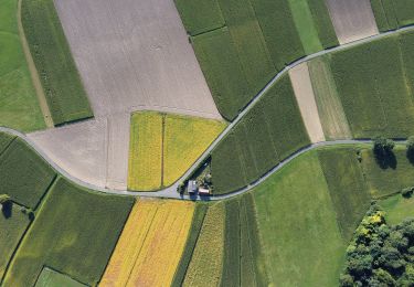 Tour Zu Fuß Bad Gleichenberg - Ameisenstraße - Photo