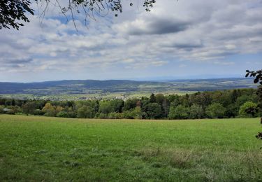 Randonnée Marche Wolschwiller - wolschwiller - Photo