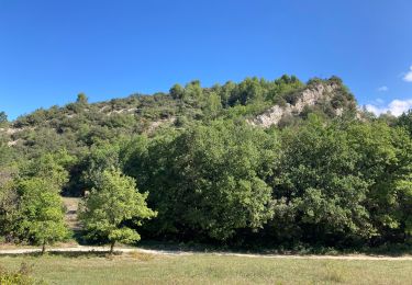 Trail Walking Malaucène - Malaucene Groseau - Photo