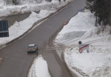 Percorso A piedi Ville d'Anaunia - IT-O331 - Photo