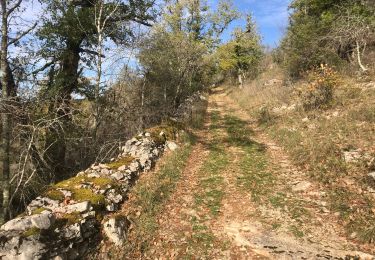 Tour Wandern Montvalent - Bendou - Photo