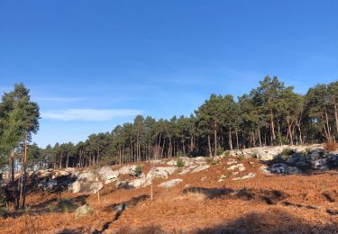 Trail Walking Fontainebleau - Isatis N3 - Photo