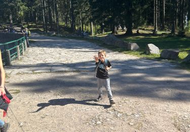 Trail sport Soultzeren - Lac vert gazon du fain lac du forlet - Photo