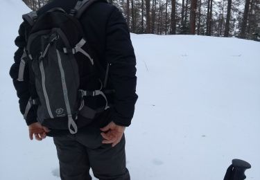 Excursión Raquetas de nieve La Condamine-Châtelard - raquettes Ste Anne la Condamine - Photo