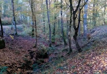 Excursión Bici eléctrica Fougerolles-Saint-Valbert - 31-10-20 Razel - bons enfants - Photo