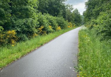 Trail Electric bike Saint Vith - Boucle Velo  Rodt 49 Km - Photo