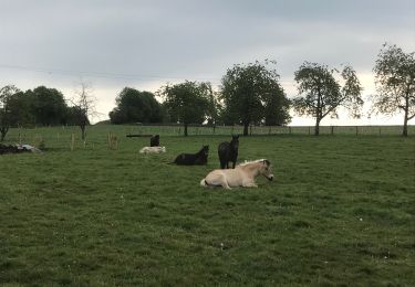 Trail Walking Fougerolles-Saint-Valbert - Balade poney 6kms - Photo
