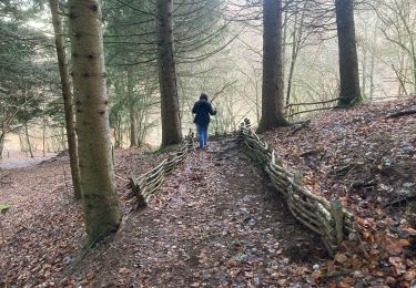 Trail sport Aydat - Puy de Vichatel - Photo