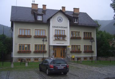 Percorso A piedi Gemeinde Grünbach am Schneeberg - Sparkasse Runde bei Grünbach - Photo