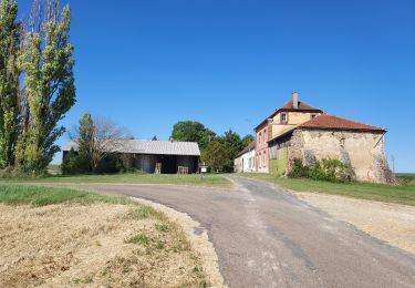 Tocht Wegfiets Paron - 109 NE70 Lailly # Villeneuve l'Archevêque - Photo