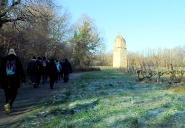 Tour Wandern Saint-Romain-de-Benet - 17 Le Vivier IV -7km200 - Photo