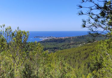 Trail Walking Sanary-sur-Mer - Tour du petit cerveau - Photo