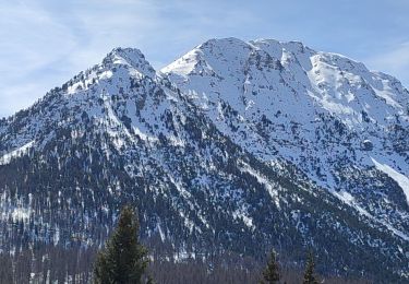 Trail Walking Montgenèvre - Montgenève Clavière - Photo