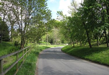 Randonnée A pied West Suffolk - Freckenham Circular Walk - Photo