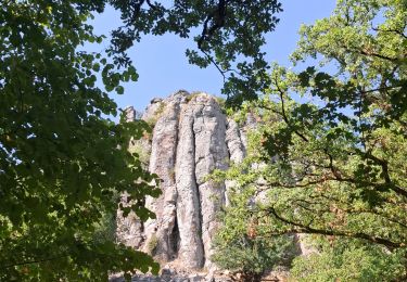 Trail Walking Bort-les-Orgues - Bord les Orgues : les Orgues - Photo