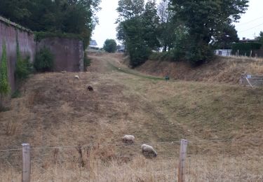 Tour Wandern Le Havre - Le Havre: les jardins suspendus - Photo