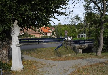 Tour Zu Fuß okres Veľký Krtíš - Náučný chodník Stromy čebovských lesov - Photo