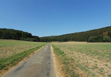 Tocht Te voet Stemwede - Blau gestrichelte Route - Stemweder Berg - Photo