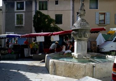 Percorso A piedi Mollans-sur-Ouvèze - Crête et Ubac de Bluye - Photo