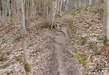 Trail Walking Ottignies-Louvain-la-Neuve - El djeu d'balle, El bo d'lauzelle et r'tour  - Photo