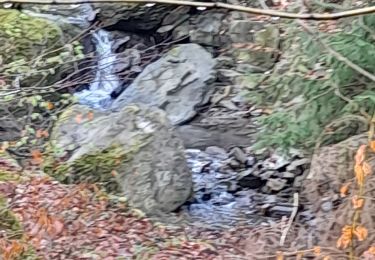 Tour Wandern Nandrin - yernee ac 1 - Photo