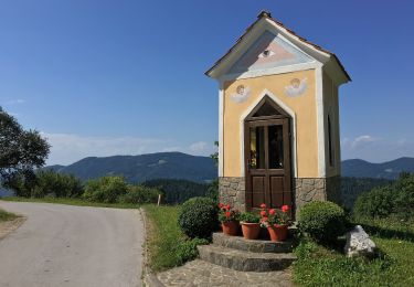 Randonnée A pied Zreče - Skomarska pot - Photo