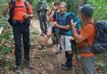 Tour Wandern Souligny - Souligny 25km les Écrins le 26.07.2022 - Photo