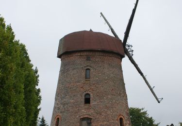 Tour Zu Fuß  - Szlak Mocy i Tradycji - Photo