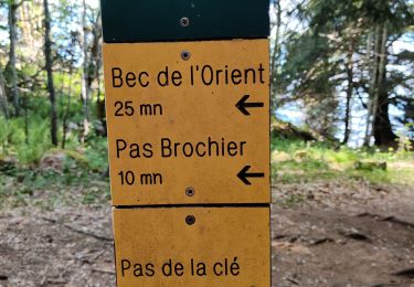 Tour Wandern Autrans-Méaudre en Vercors - Bec de l'orient par le pas de la clé - Photo