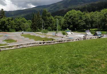 Randonnée Marche Arâches-la-Frasse - boucle les Carroz, la forêt d'Araches, Cretoral, retour par la pierre a Laya - Photo