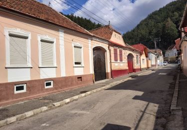 Randonnée A pied  - Sinaia - Cabana Omu - Râșnov - Photo