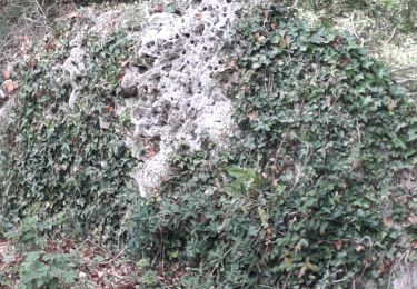 Tour Wandern Petit-Couronne - Petit-Couronne 01-05- 4.2km - Photo