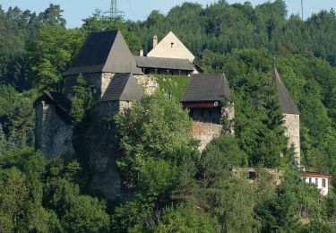 Tour Zu Fuß Gemeinde Krumau am Kamp - Thurnberger Stauseetour - Photo