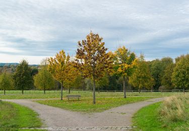 Randonnée A pied Lemgo - Rundwanderweg A3 [Lemgoer Mark] - Photo