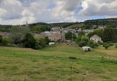 Tocht Stappen Viroinval - Boucle Vierves - Treignes - Photo