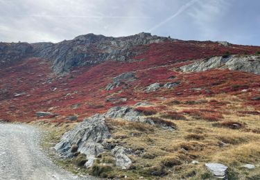 Trail Walking Saint-Sorlin-d'Arves - Croix de fer étendard  - Photo