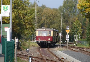 Tour Zu Fuß Ebermannstadt - Rundweg Friedwald - Photo