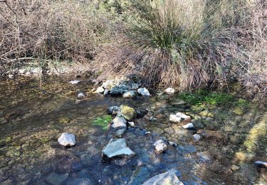 Percorso Marcia Seillons-Source-d'Argens - Rocher des abeilles-02-02-2022 - Photo