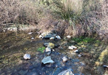 Randonnée Marche Seillons-Source-d'Argens - Rocher des abeilles-02-02-2022 - Photo