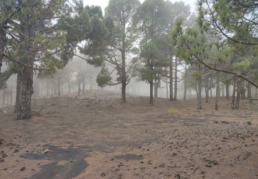 Randonnée Marche El Paso - dag 3 La Palma  - Photo