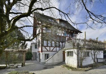 Excursión A pie Grüningen - Botanischer Garten - Lutikon - Photo