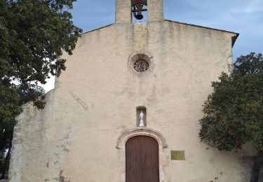 Trail Walking Bauduen - baudinard - Photo