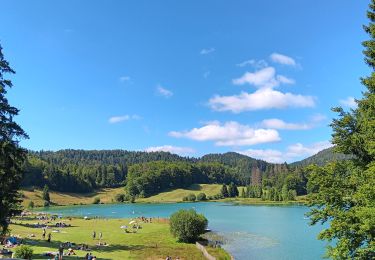 Randonnée Marche Charix - lac de genin - bretouze /  retour - Photo