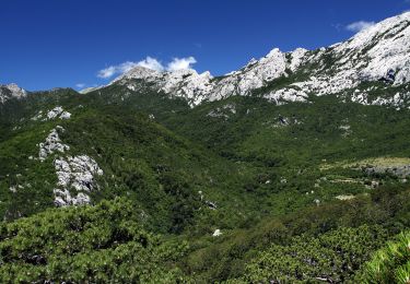 Randonnée A pied  - Golić - Stražbenica - Photo