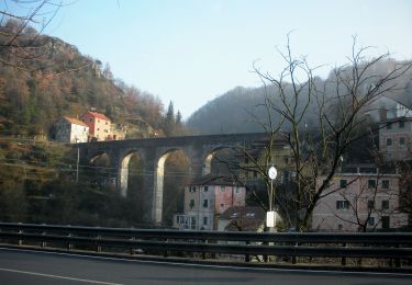 Excursión A pie Génova - Prato - Cavassolo - Capenardo - Monte Candelozzo - Photo