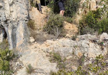 Tocht Stappen Ollioules - Cap Gros-Les Grottes du Croupatier- Oppidum de la Courtine - Photo