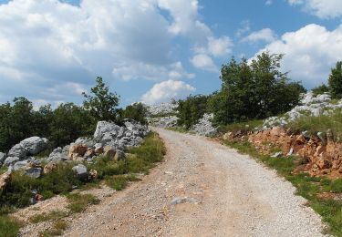 Tour Zu Fuß  - Velike Libinje - Dušice - Photo