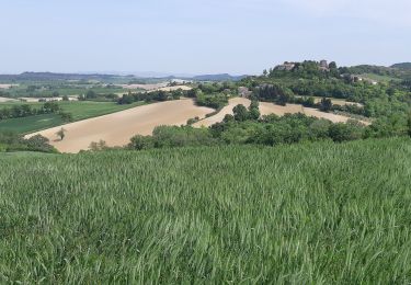 Trail Walking Laurac - Tour de Laurac - Photo