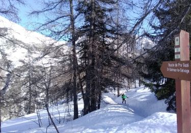 Randonnée Ski de randonnée Saint-Dalmas-le-Selvage - tentative de la crête de carpasse, et la croix de carlet - Photo