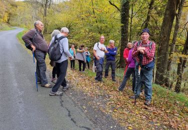 Tocht Stappen Châteldon - CLD - GM Le 02/11/2021 - Photo